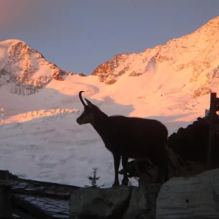 Stirling Luxury & * Зас-Фе