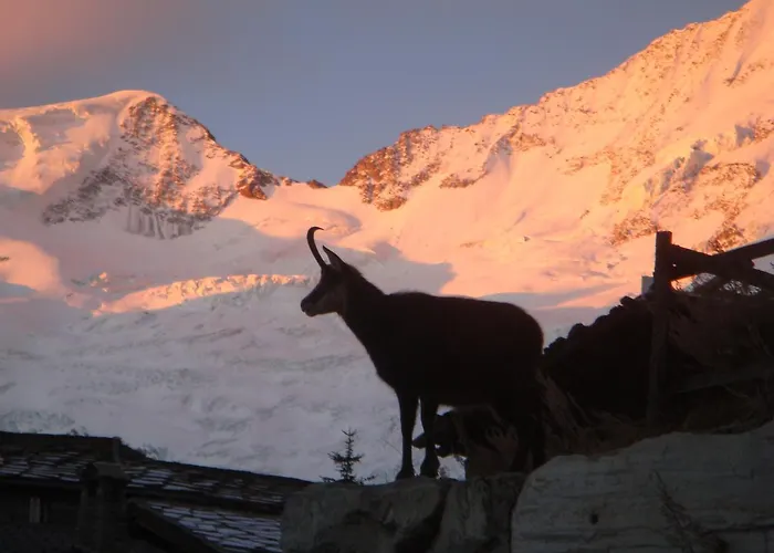 Stirling Luxury & * 萨斯费