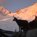 Stirling Luxury & * Saas-Fee